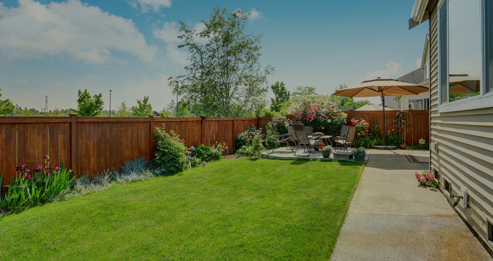 Greenery Is Our Specialty