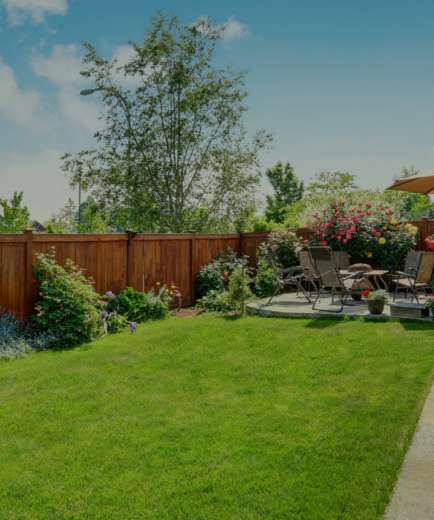 Greenery Is Our Specialty