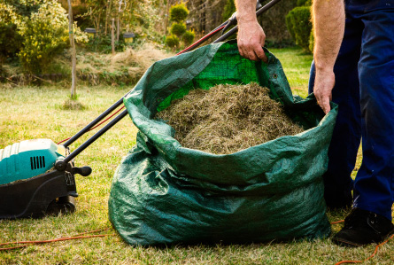 Clean-Up (Yard, Sheets)